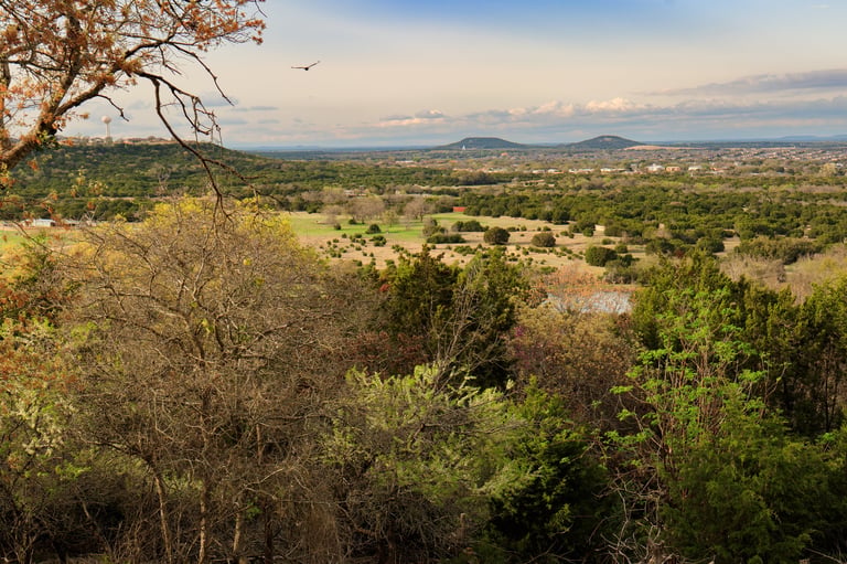 A scenic overlook of the Texas Hill Country reveals a lush valley with patches of green fields and clusters of trees beginning to bloom. The horizon is marked by rolling hills under a partly cloudy sky, with a single bird soaring in the distance.