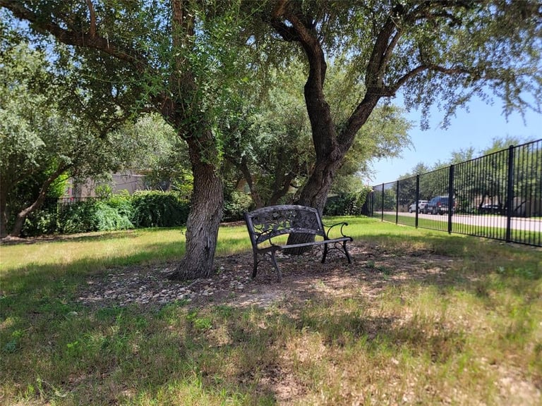 Park bench under large mature tree in grassy area with black fence and blue sky in background